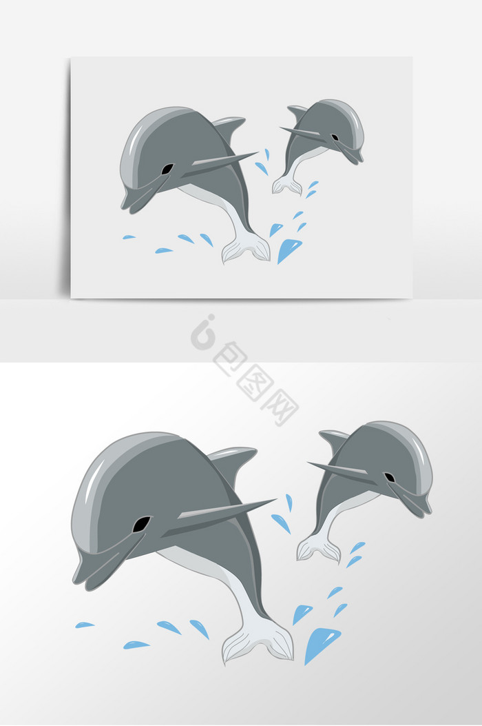 夏日海豚图片