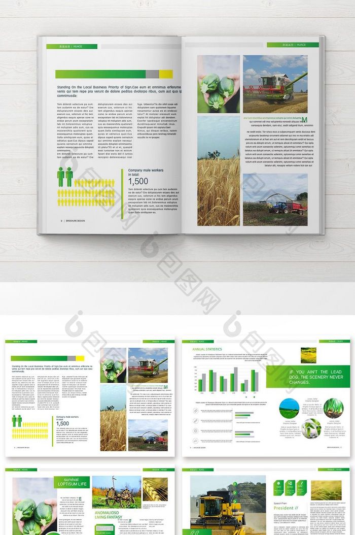 简洁大气农业产品宣传册
