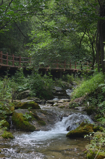 夏日山林里的瀑布溪流