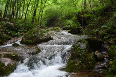 夏日山林里的瀑布溪流