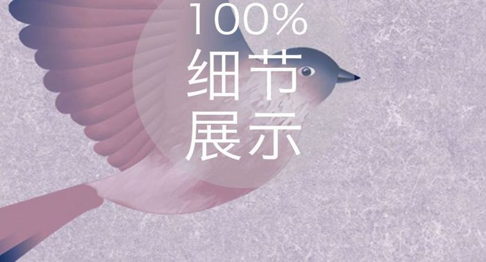 中式花鸟玉兰杜鹃吉祥如意玄关定制