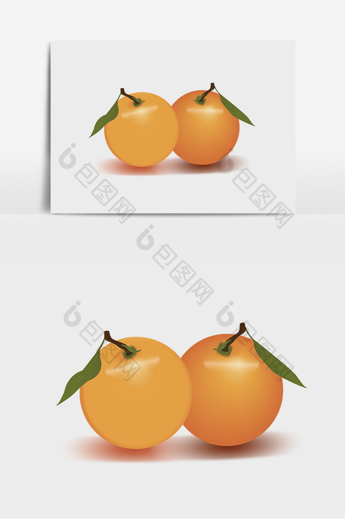 桔子橘子手绘真实图片