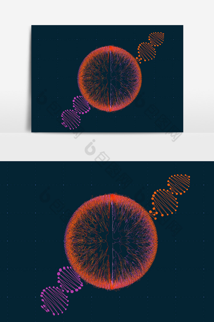 DNA线条球形图片