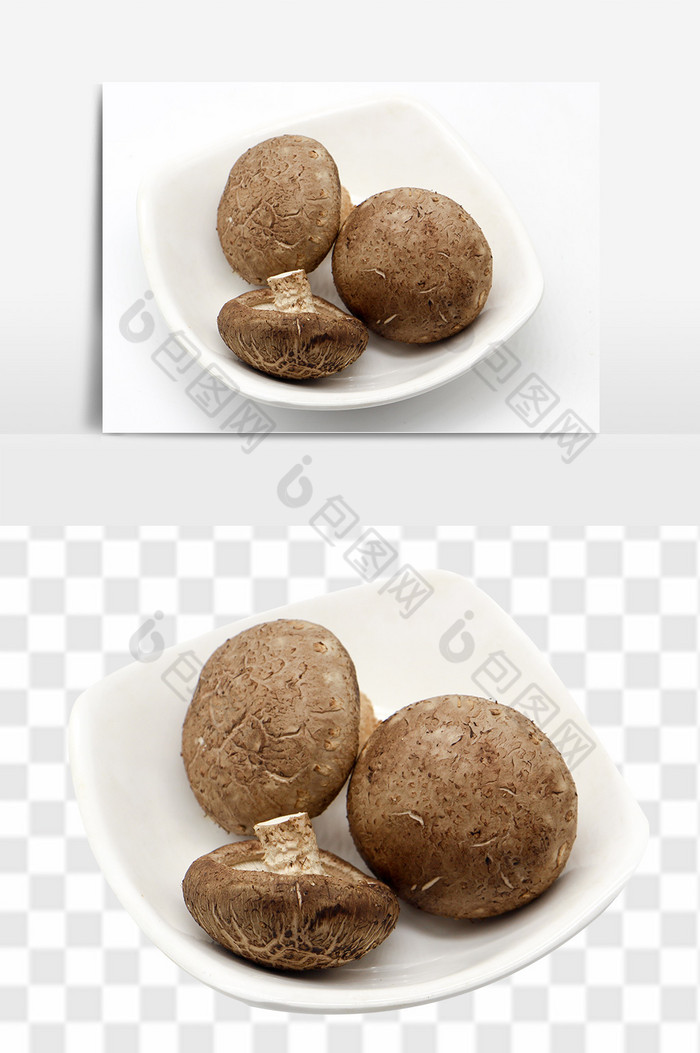 杂姑金针菇产品实图图片