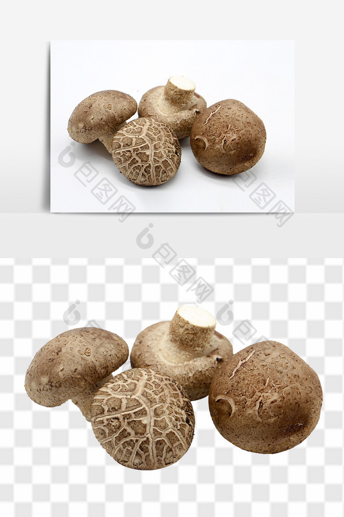 新鲜蘑菇香菇免抠元素