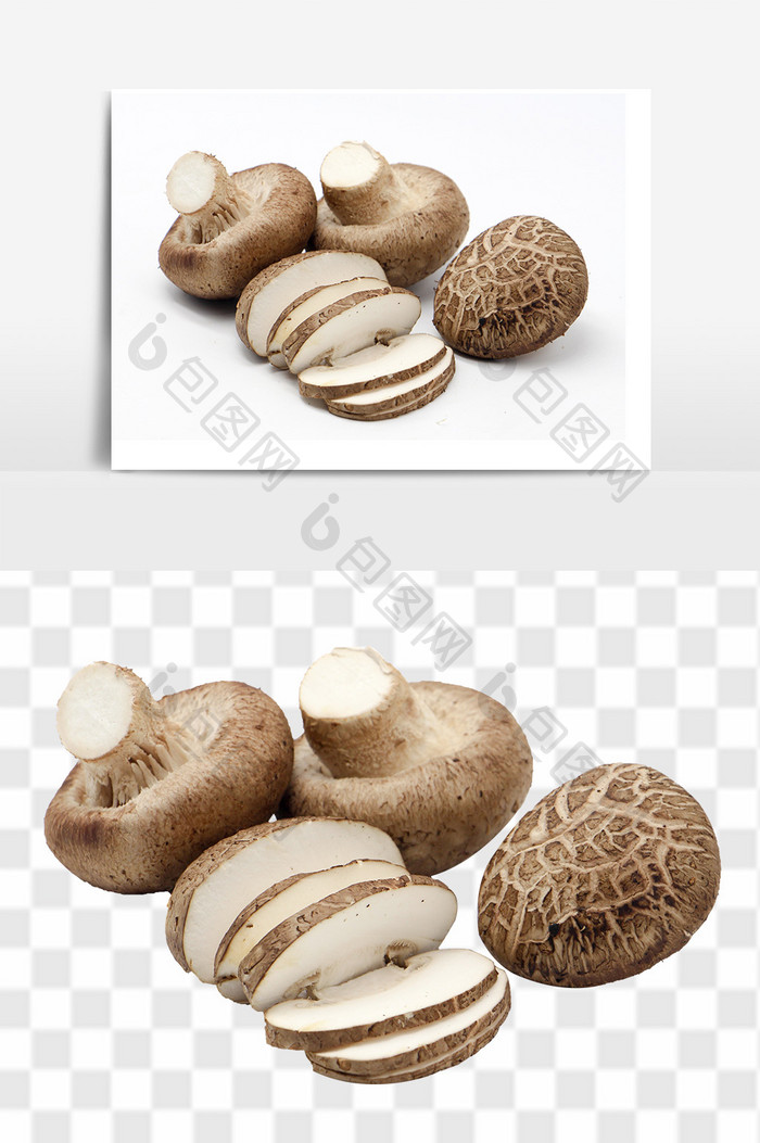 新鲜的菌菇类素材