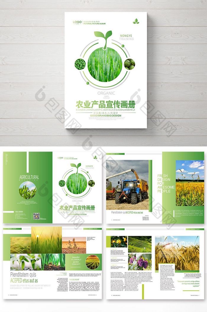 清新时尚农产品画册