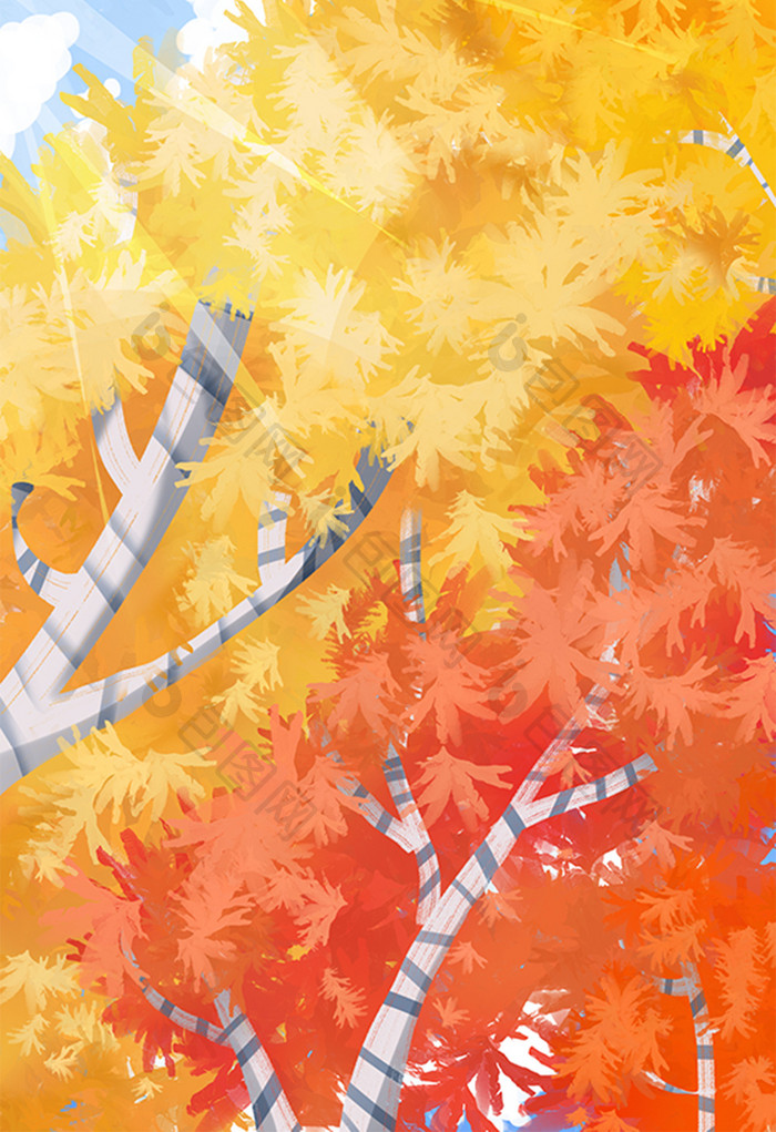 秋天阳光大树风景