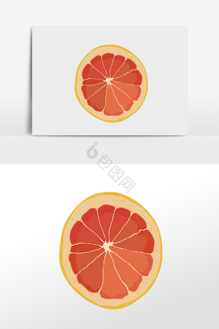 水果西柚插画图片
