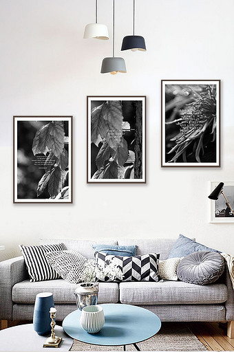 现代简约黑白风格植物装饰画客厅挂画图片