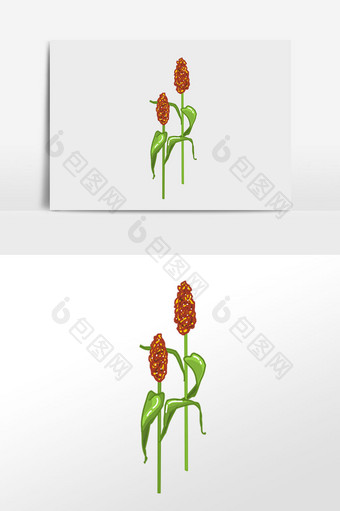 秋季农作物高粱插画元素图片