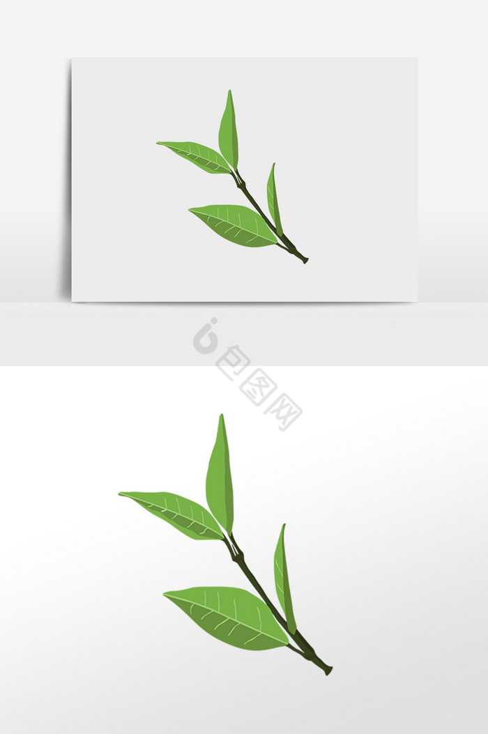 绿叶树枝插画图片