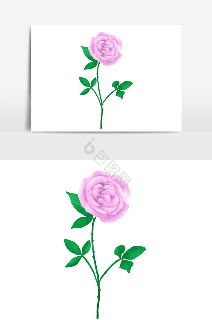 一枝花图片-一枝花素材免费下载-包图网