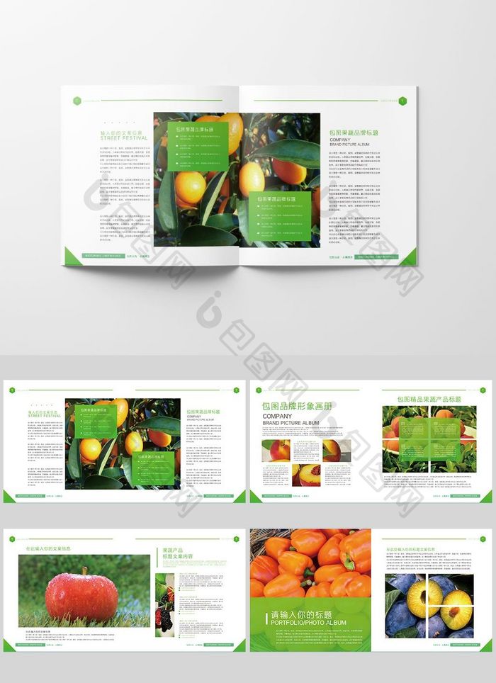 时尚清新果蔬产品宣传画册