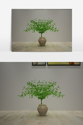 绿色植物3D模型