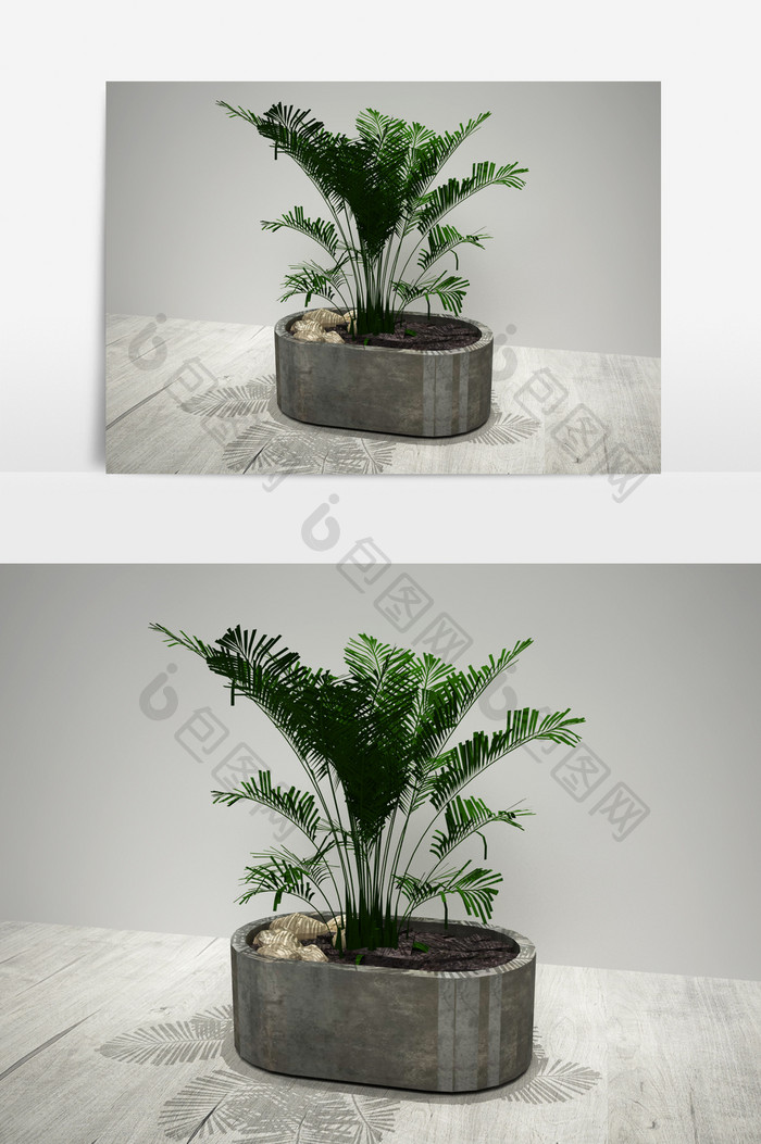 定制植物3D模型