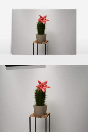 仙人掌植物3D模型