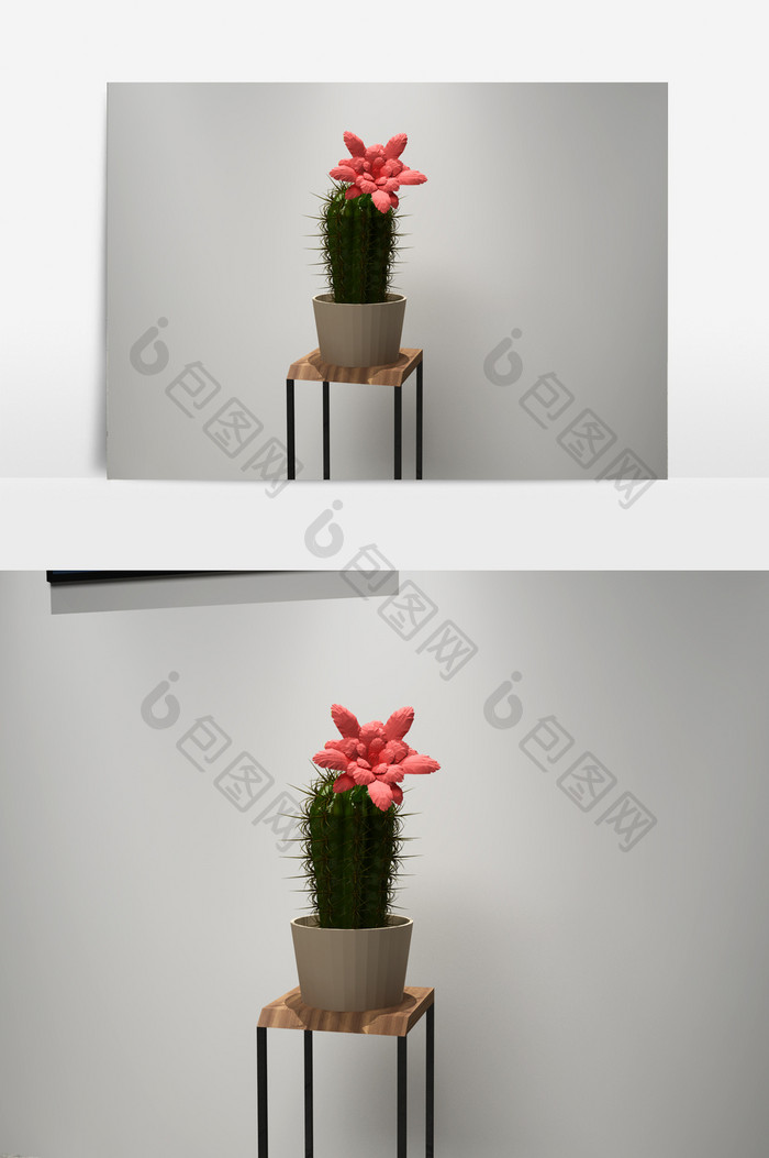 仙人掌植物3D模型