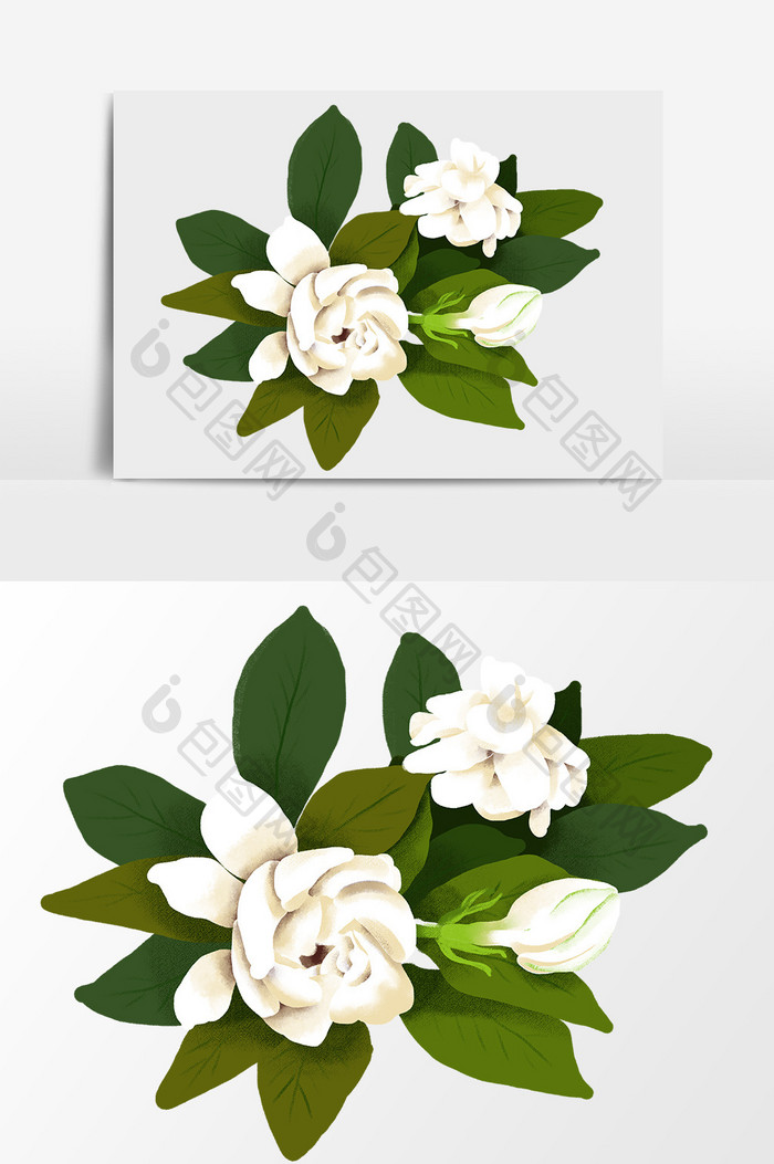 白色的花朵花卉设计元素