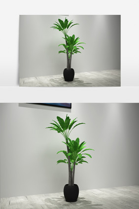 室内植物3D模型