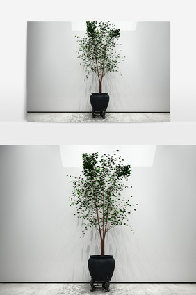 室外绿色花草植物3D模型