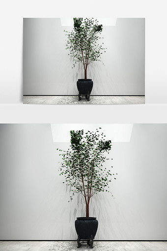 室外绿色花草植物3D模型图片