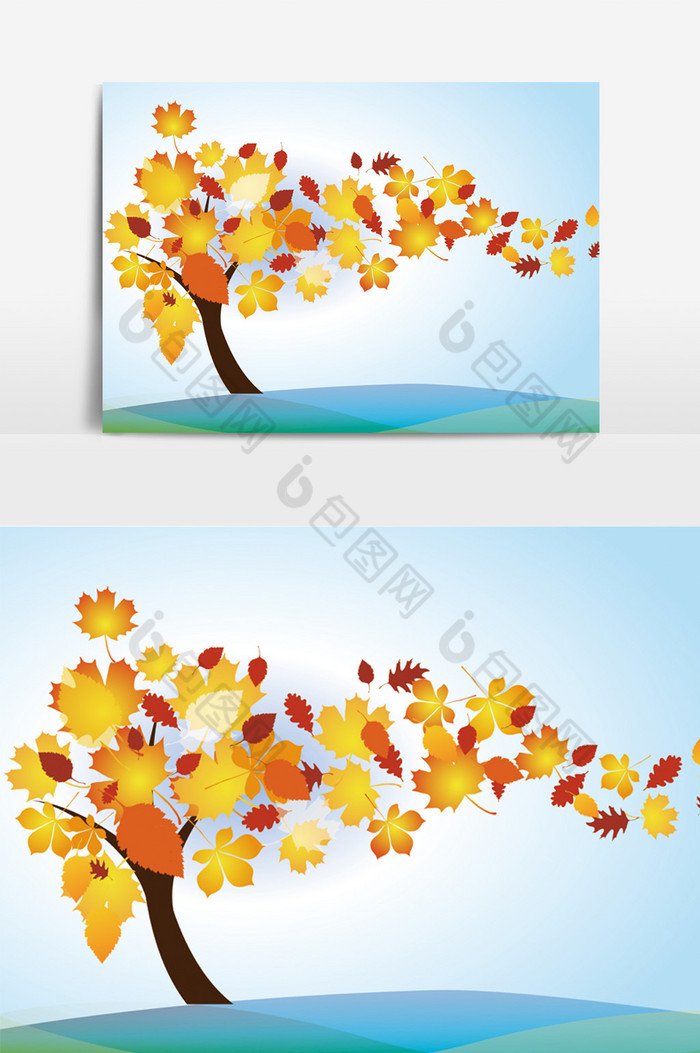 秋天的金色树图片图片