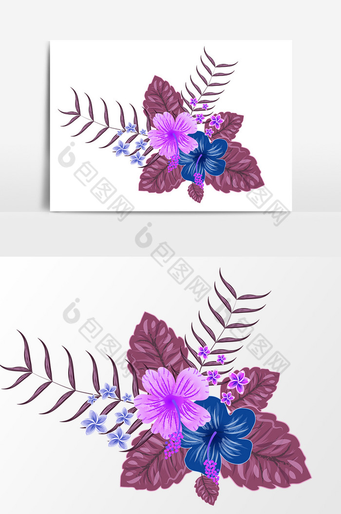 紫花图片图片