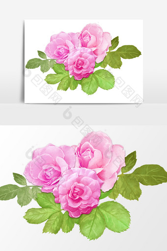 粉色花朵牡丹设计元素图片