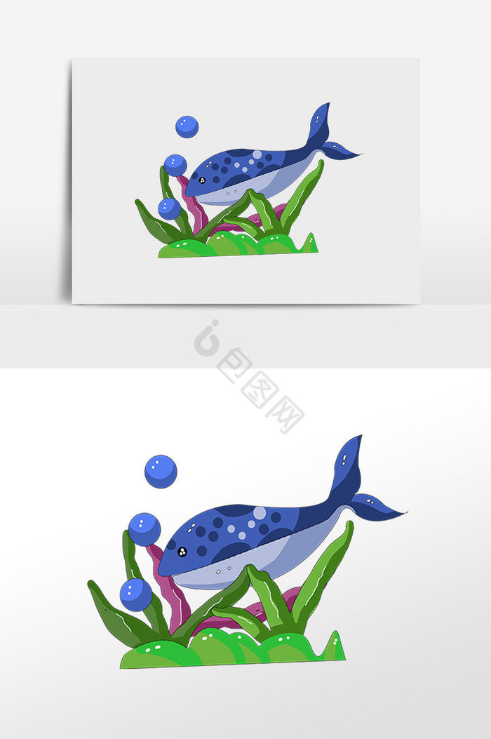 海底鲨鱼插画图片