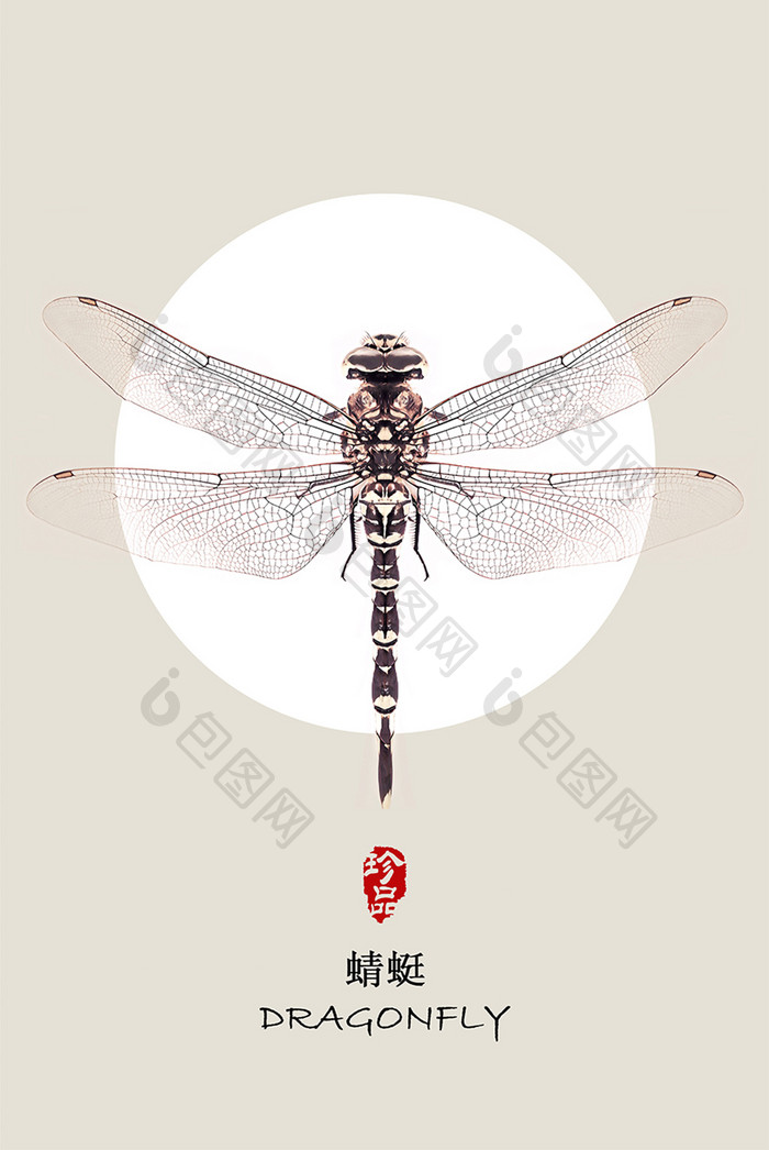 新中式装饰画中国风蜻蜓标本玄关挂画