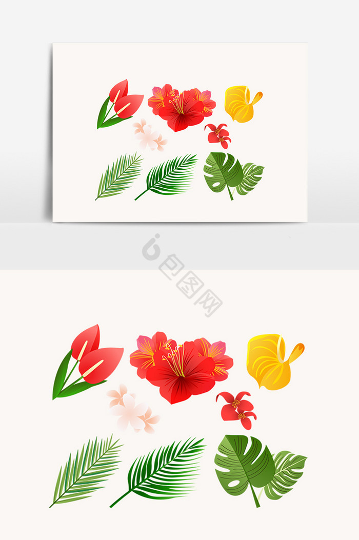 天然花卉装饰图片