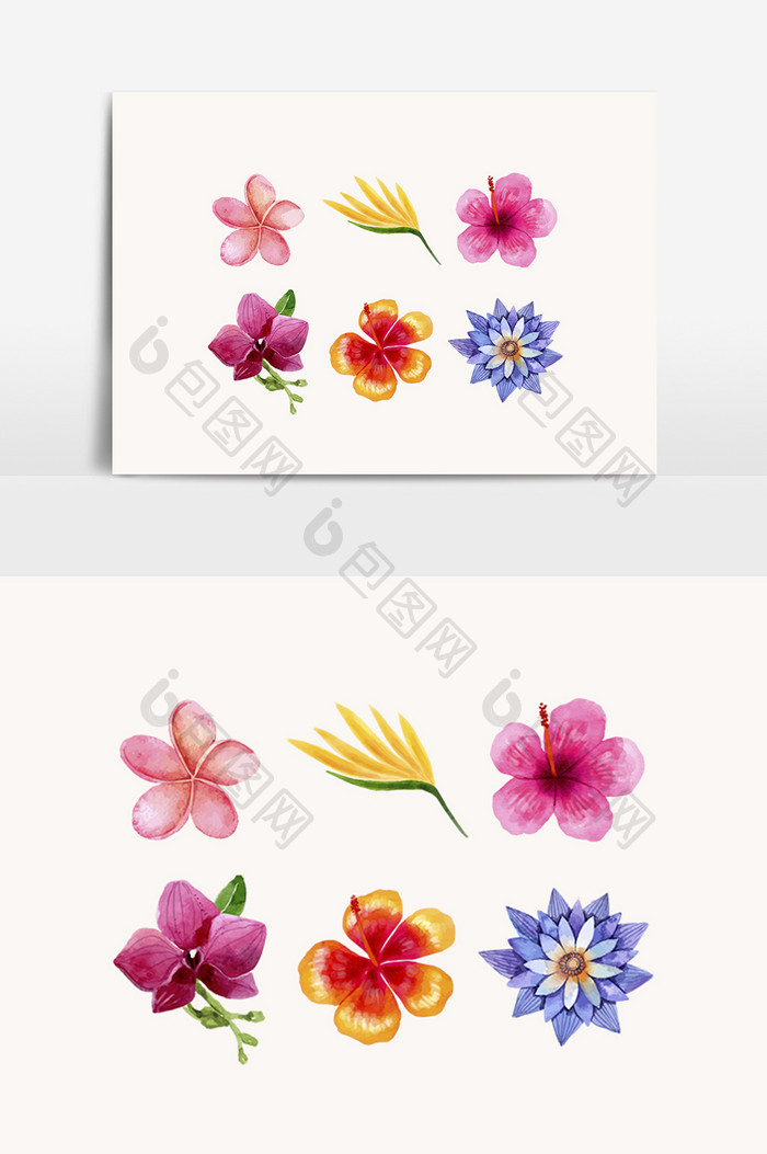 水彩花卉卡通透明素材