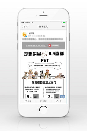宠物讲堂简约质感信息长图