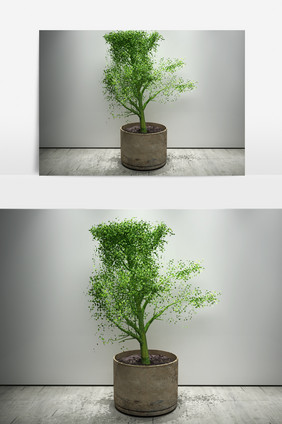 室内绿色植物3D模型