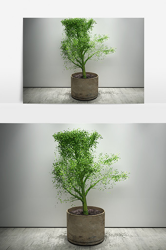 室内绿色植物3D模型图片