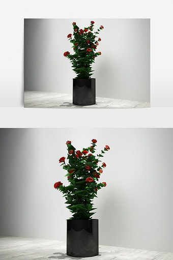 室内鲜花景观植物定制模型图片