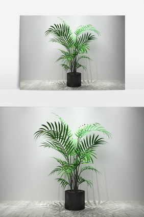 室内棕树植物景观3D模型