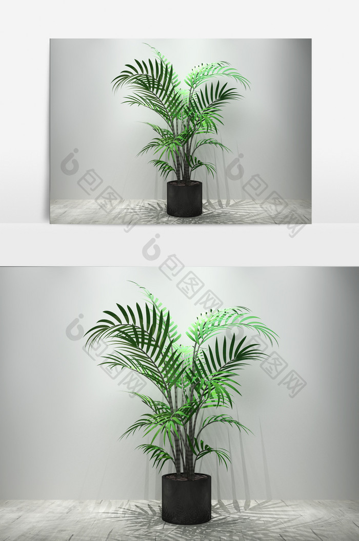 室内棕树植物景观3D模型