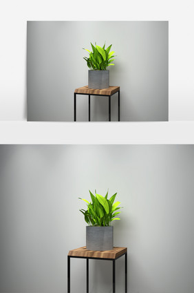 室内吊兰植物景观盆栽3D模型