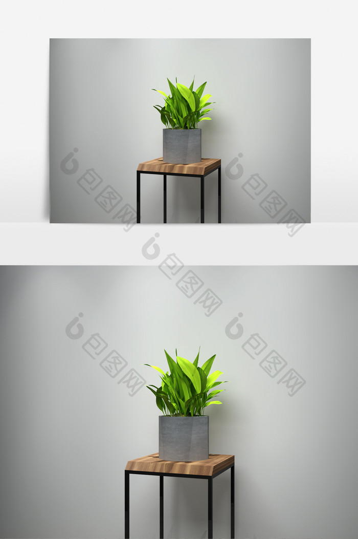 室内吊兰植物景观盆栽3D模型