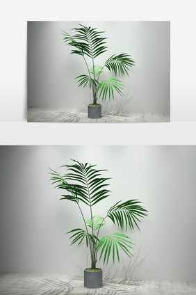 室内植物景观盆栽3D模型