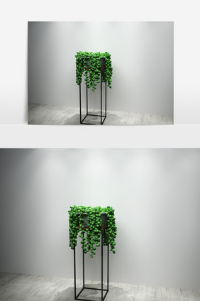 室内绿萝植物景观盆栽3D模型