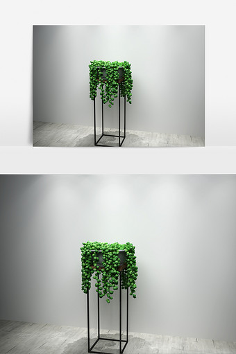 室内绿萝植物景观盆栽3D模型图片