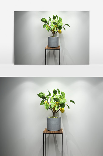 植物景观盆栽3D模型图片