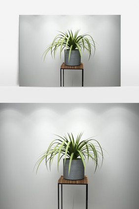 植物景观兰花盆栽3D模型