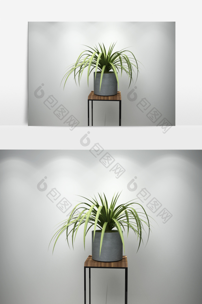 【植物景观兰花盆栽3d模型】图片下载-包图网