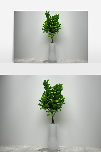 定制植物景观盆栽3D模型图片