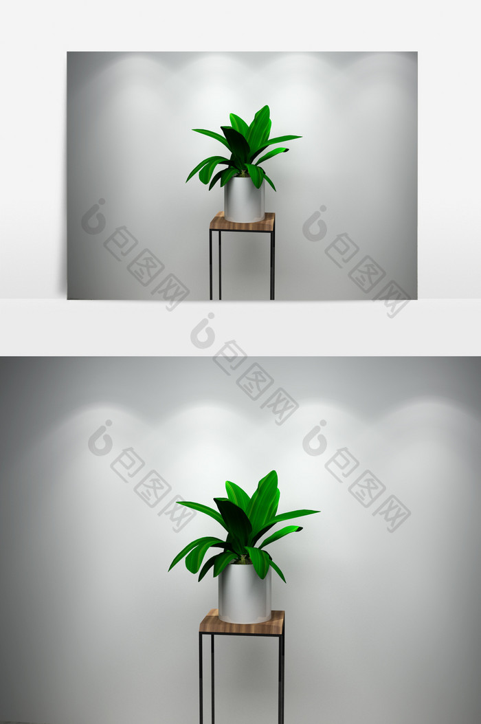 植物景观蝴蝶兰盆栽3D模型