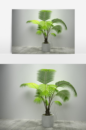 植物景观棕树盆栽3D模型